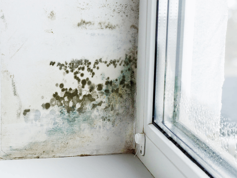 Párátlanító használata penészedés ellen