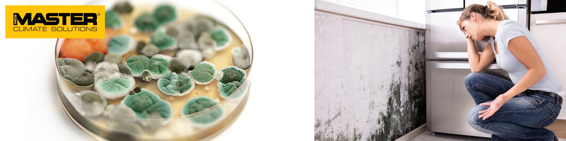 Párátlanító használata penészedés ellen